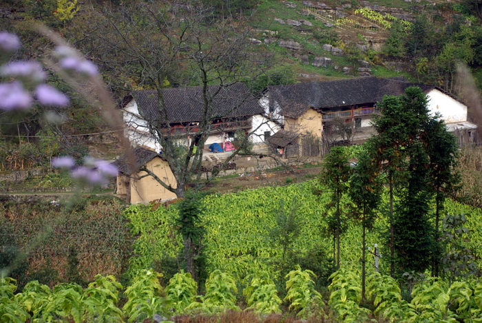 dsc_0159.jpg