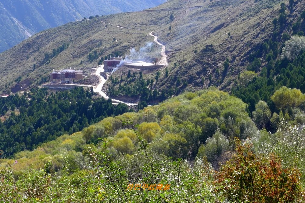 p1000362.jpg