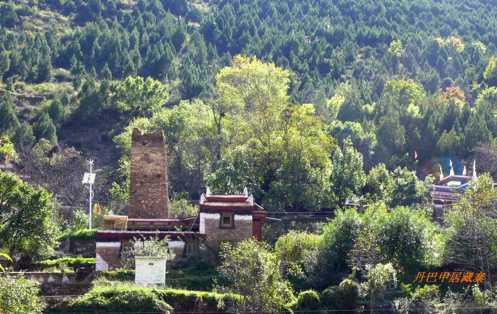 p1000580.jpg