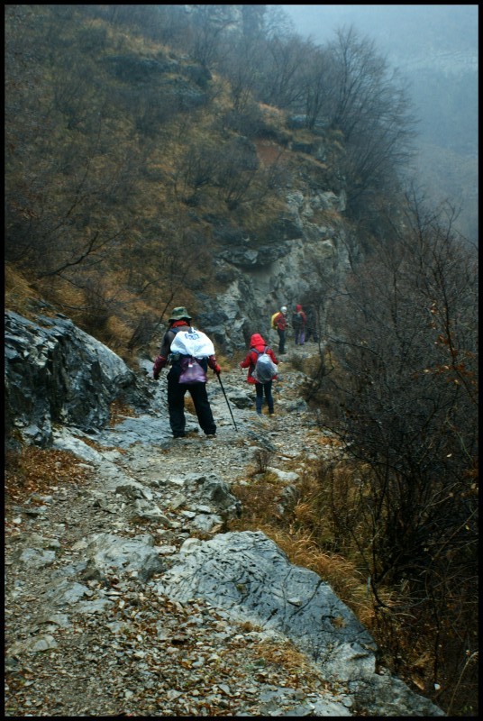 conew_dsc05779_conew1.jpg