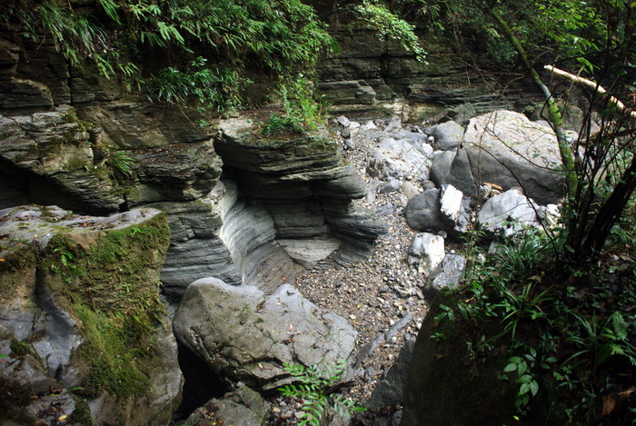 dsc_0178.jpg