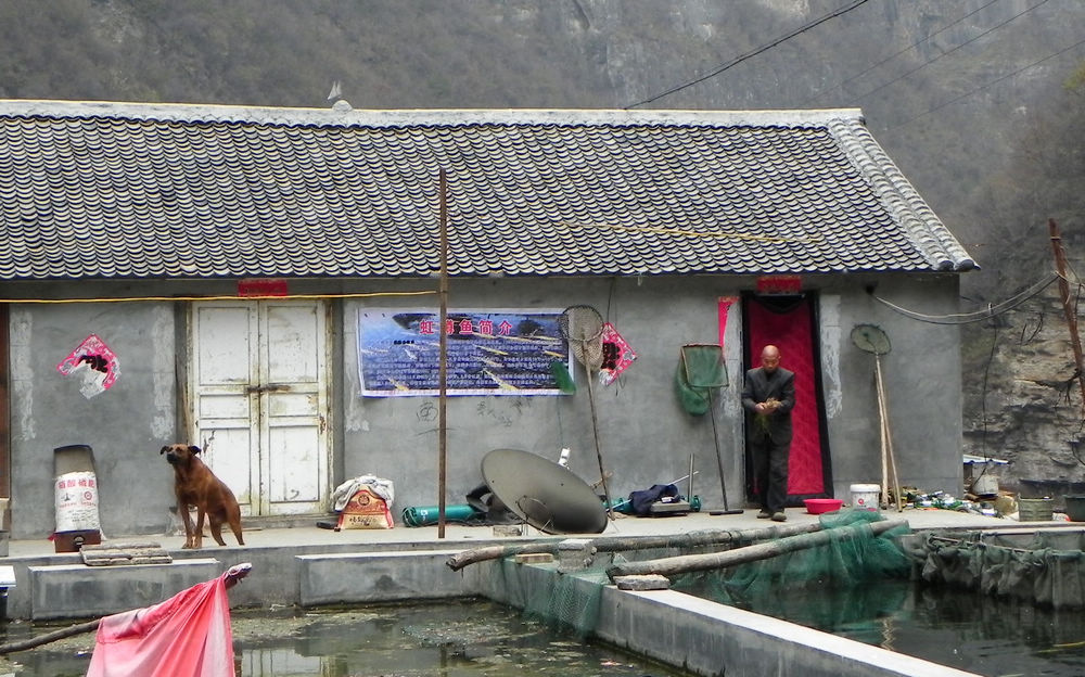 ֳ.jpg