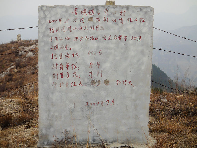 dsc07933.jpg
