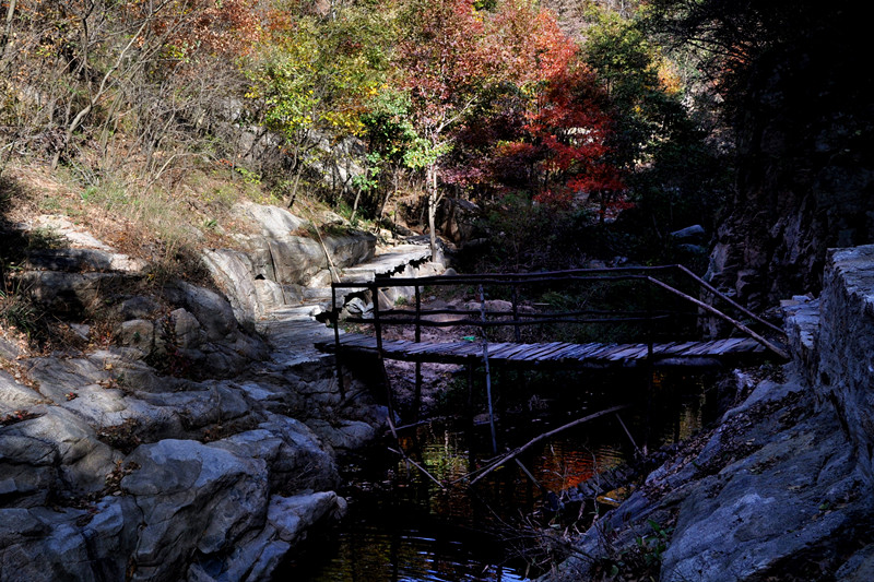 dsc_0179__.jpg