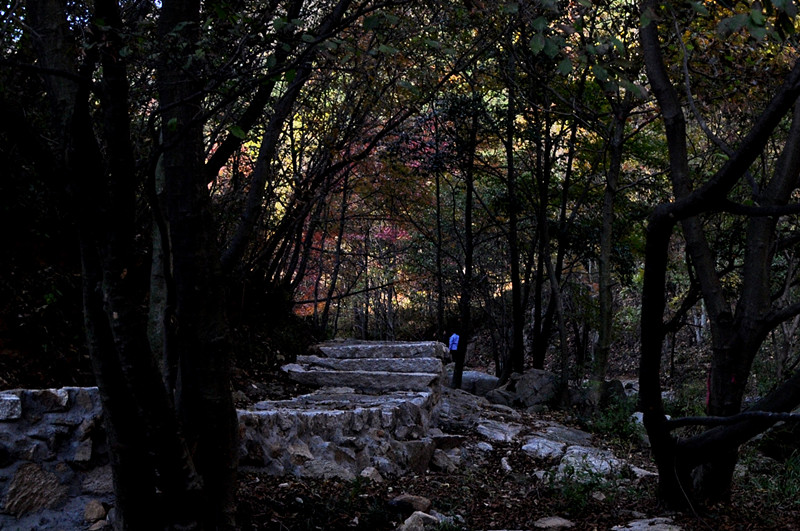 dsc_0185__.jpg
