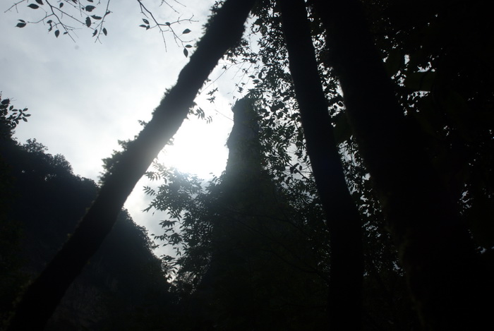 dsc_0205.jpg