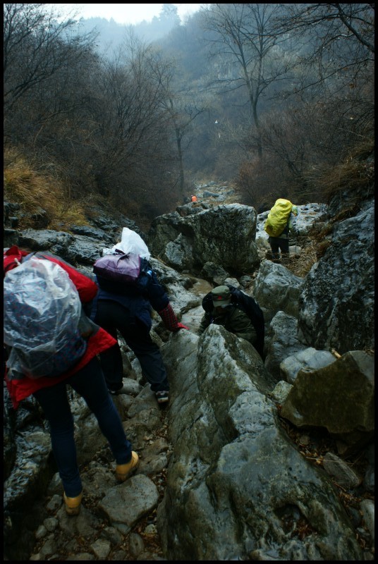 conew_dsc05771_conew1.jpg