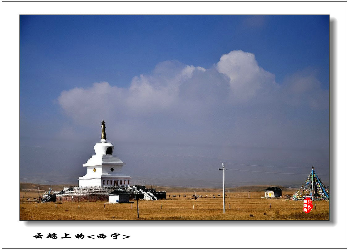 dsc_0374_conew1.jpg