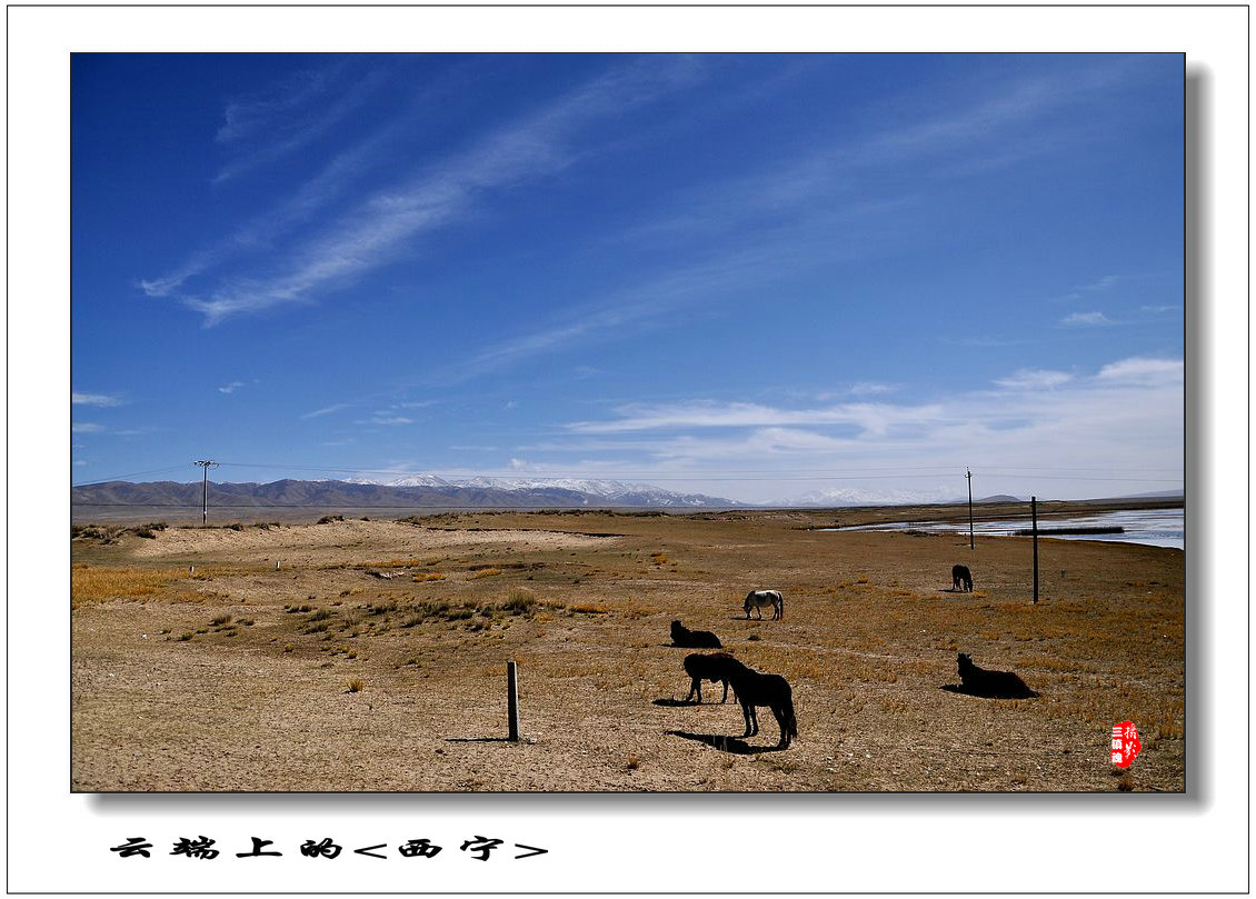 dsc_0444.jpg