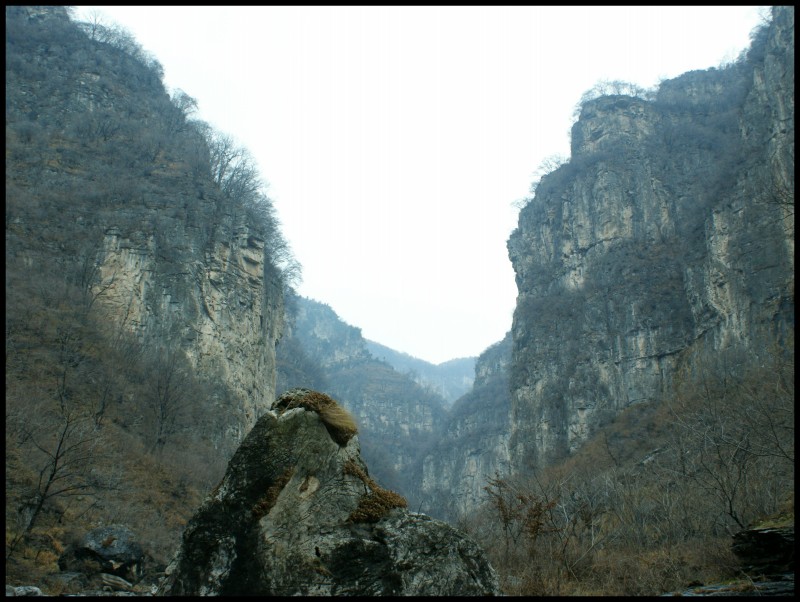 conew_dsc05874_conew1.jpg