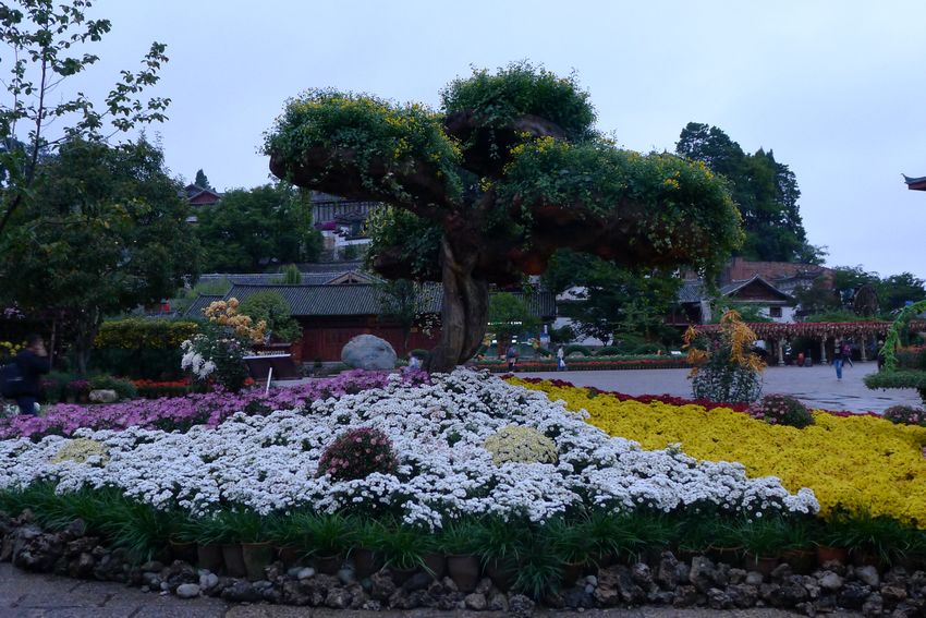p1000880.jpg