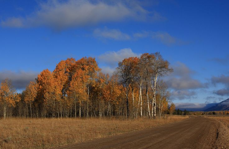 img_7071.jpg