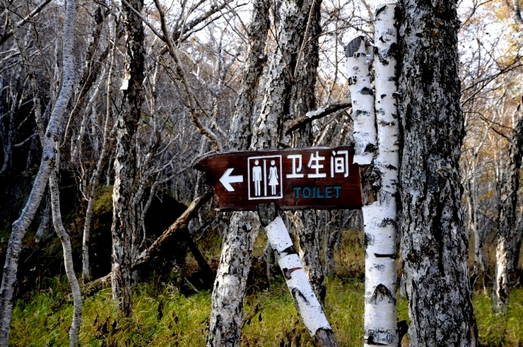 ɶ-2003.jpg