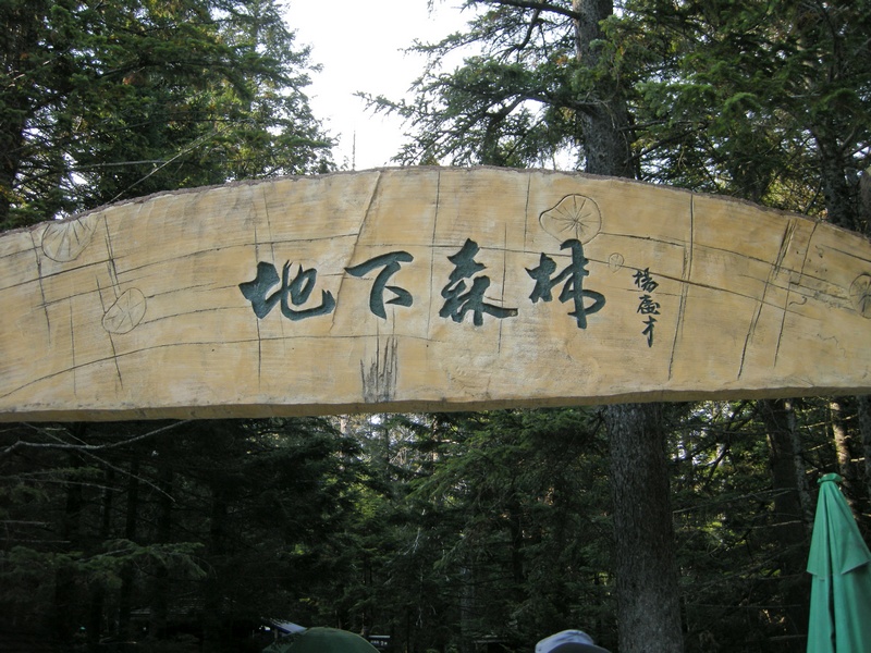 ɶ-2011.jpg
