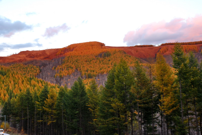 dsc_1168.jpg