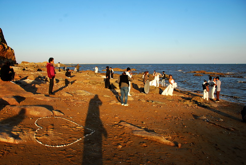 dsc_1206.jpg