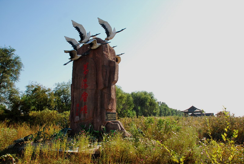 dsc_1367.jpg