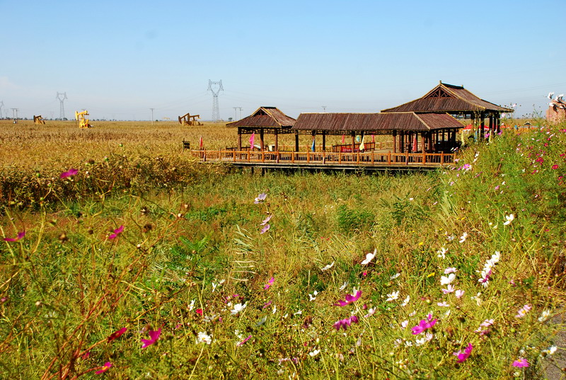 dsc_1481.jpg