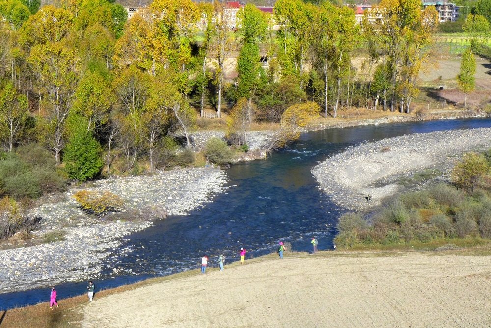 p1000843.jpg