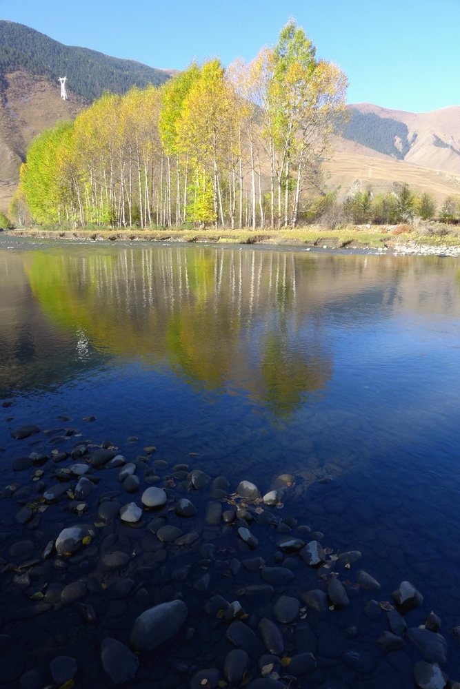 p1000854.jpg