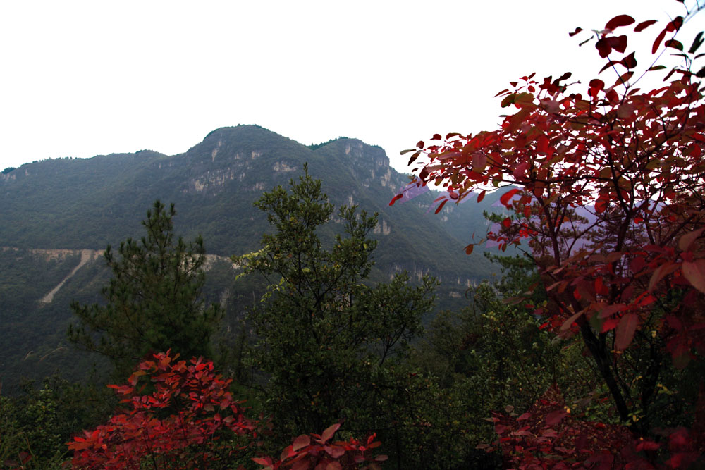 img_9105.jpg