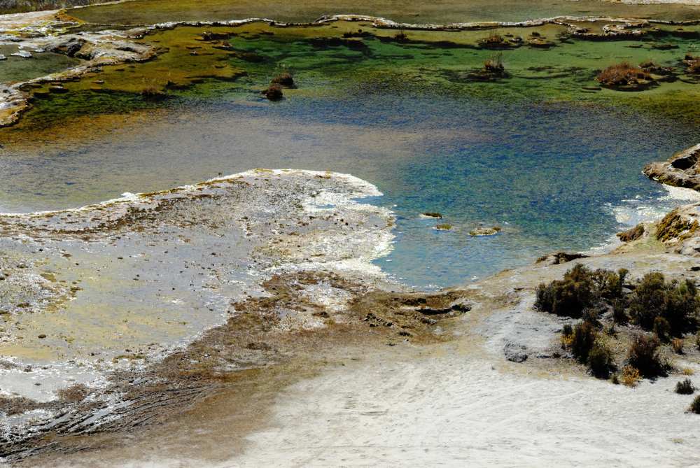 dsc_1004.jpg