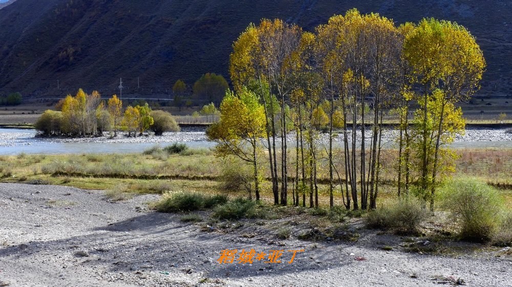 p1010357.jpg