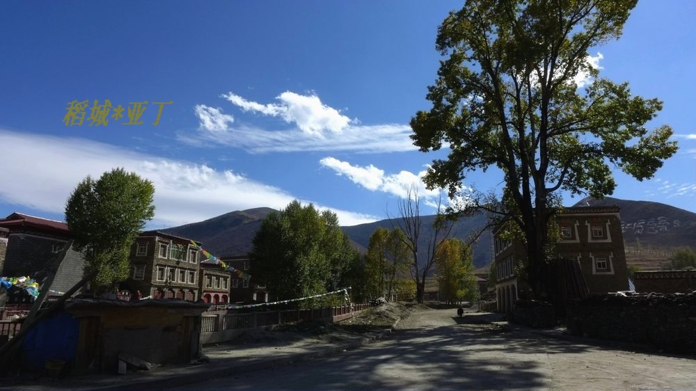 p1010341.jpg