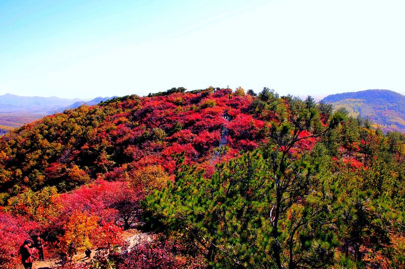 _mg_9605.jpg