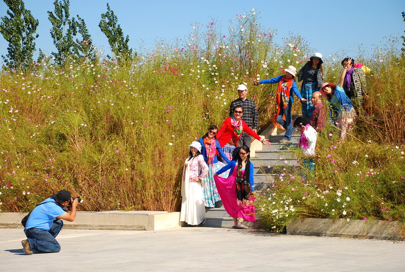 dsc_1556.jpg