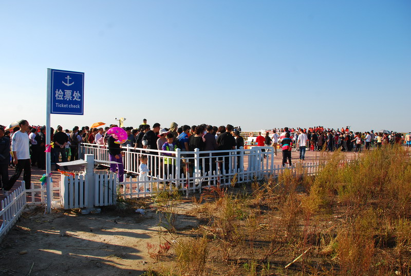 dsc_1567.jpg