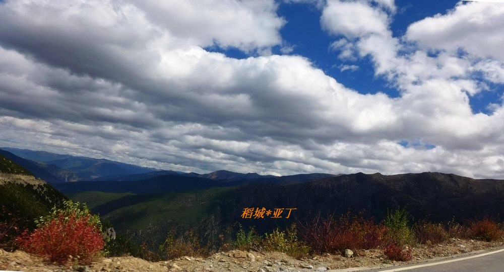 p1010895.jpg