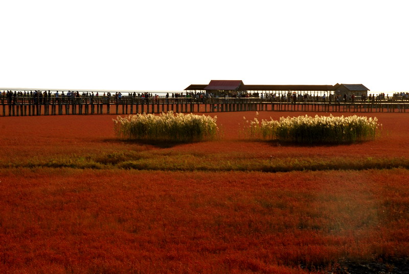 dsc_1669.jpg