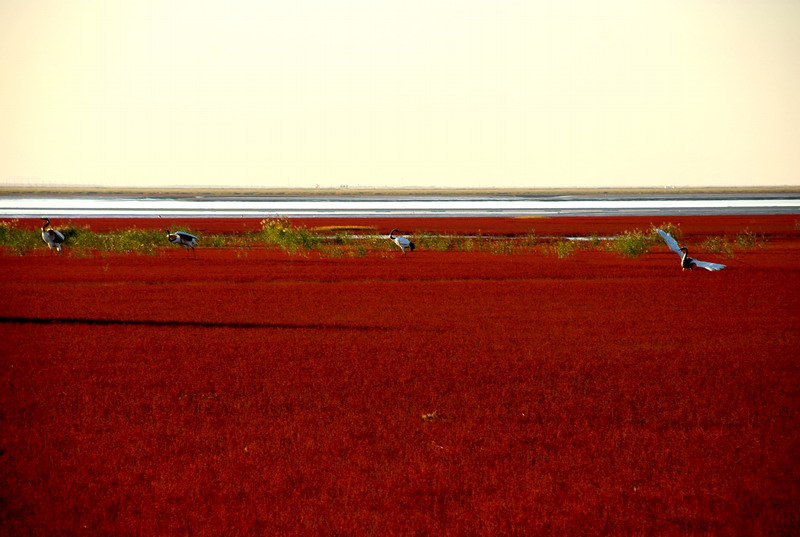 dsc_1705.jpg