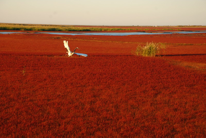 dsc_1751.jpg