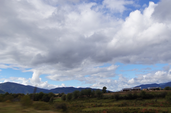 dsc09786.jpg
