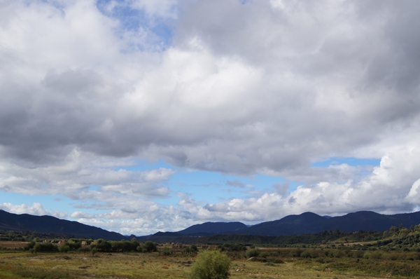 dsc09789.jpg