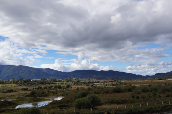 dsc09790.jpg