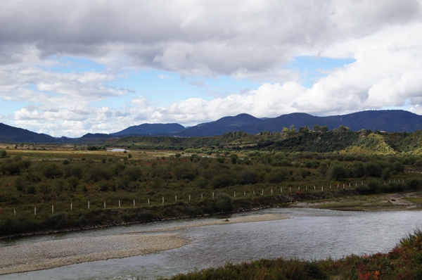 dsc09792.jpg