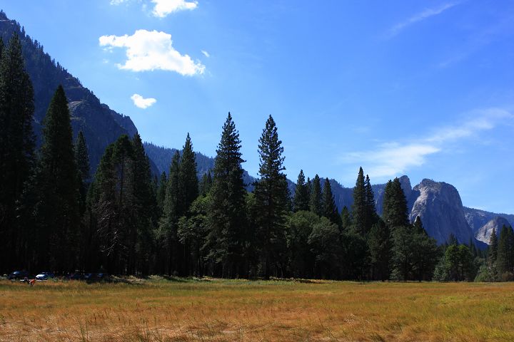 img_5515.jpg