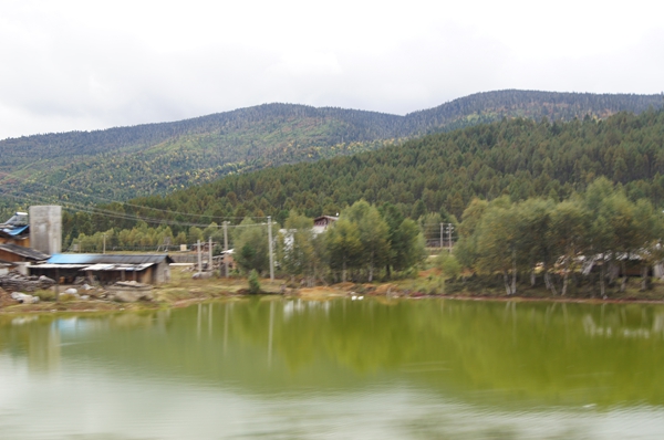 dsc09784.jpg
