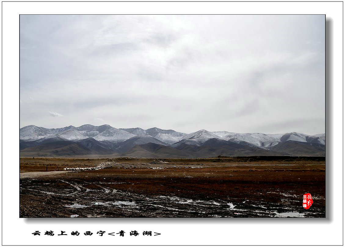 dsc_0532.jpg