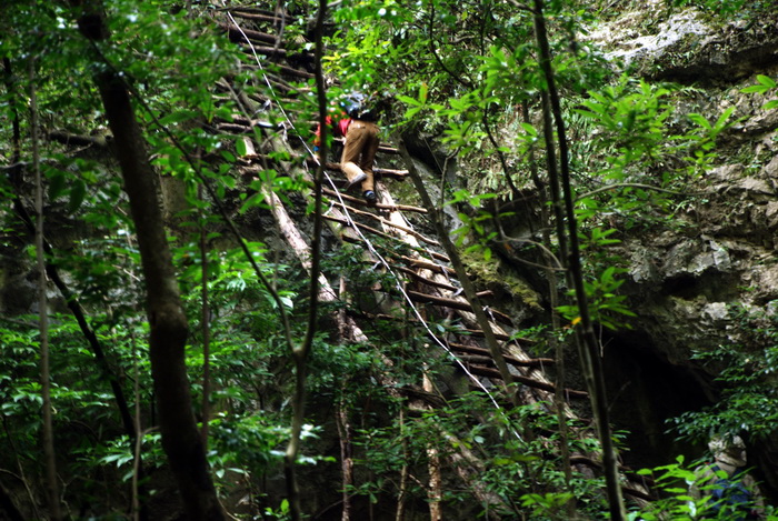 dsc_0262.jpg