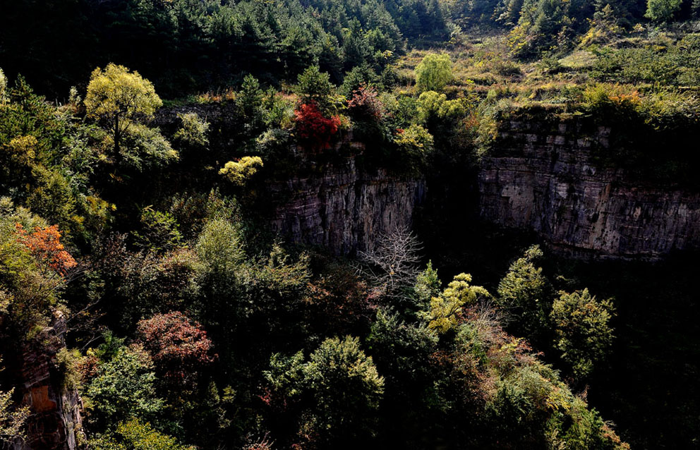 yjw_9476-1.jpg