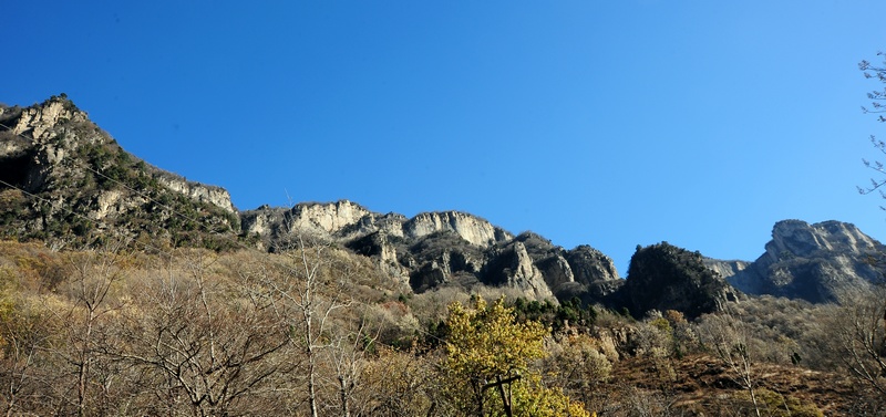 apx_5981.jpg