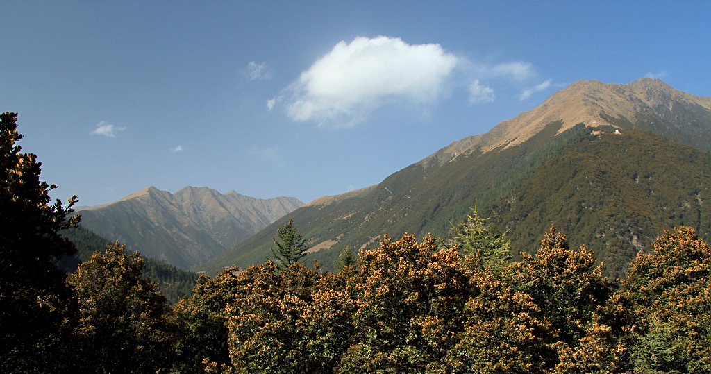 img_5404.jpg