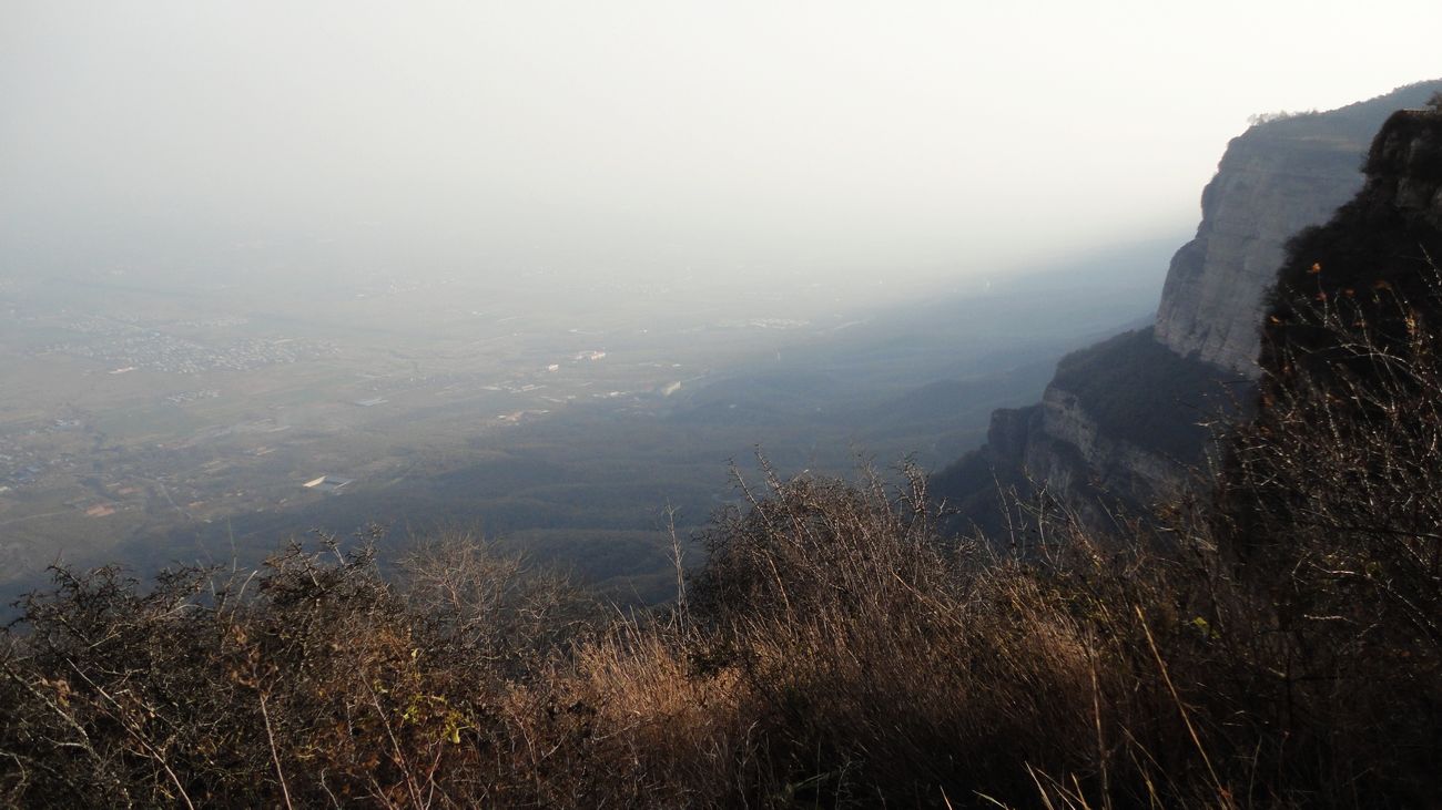 neo_img_dsc00276.jpg