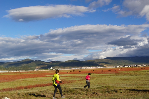 dsc09877.jpg