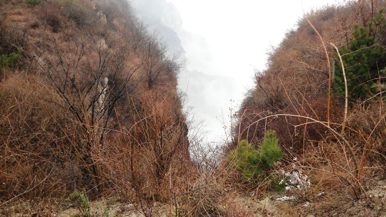 neo_img_dsc00218.jpg