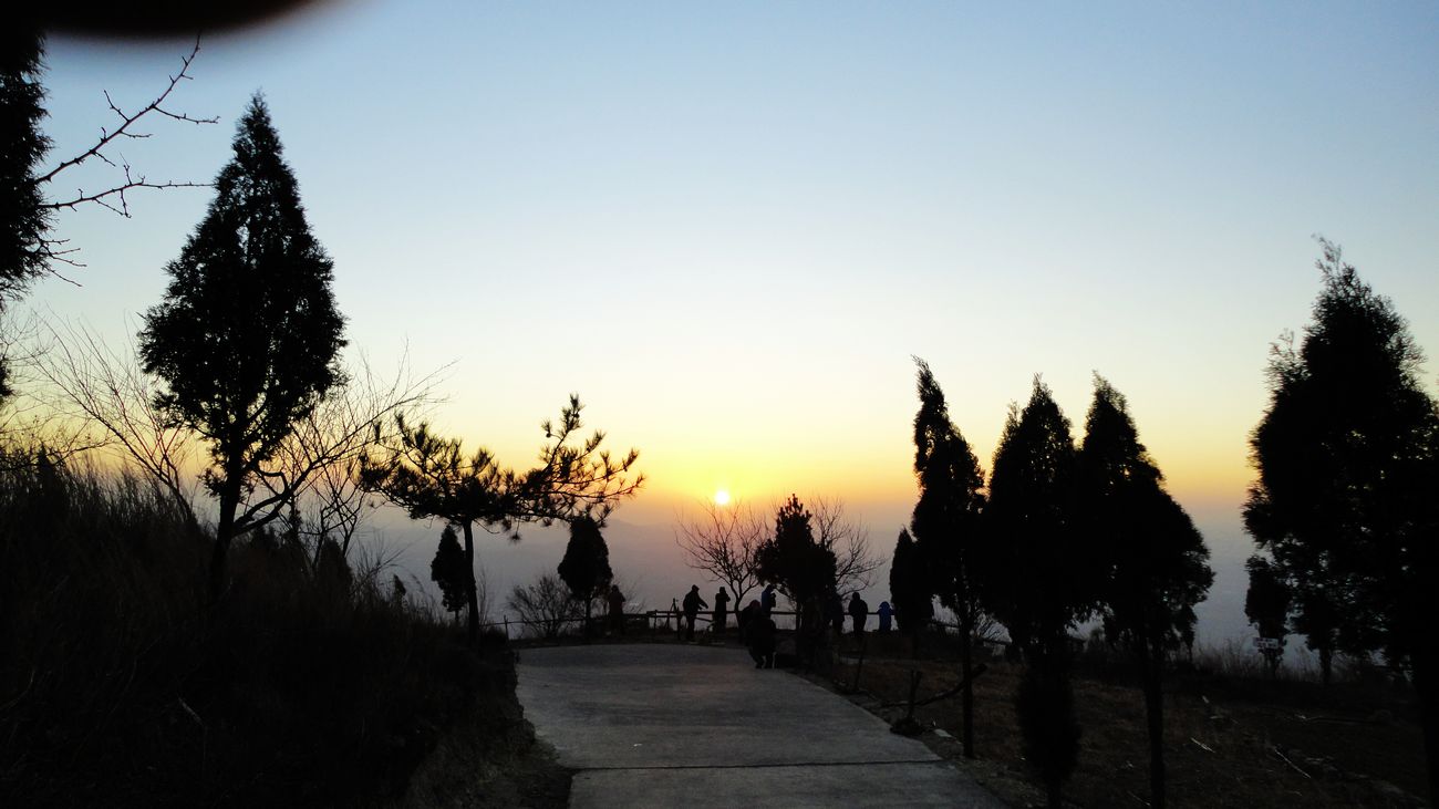 neo_img_dsc00321.jpg